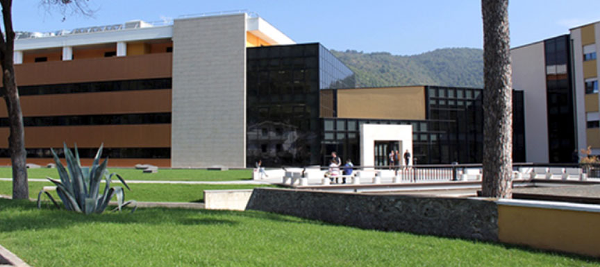 struttura.jpg_0006